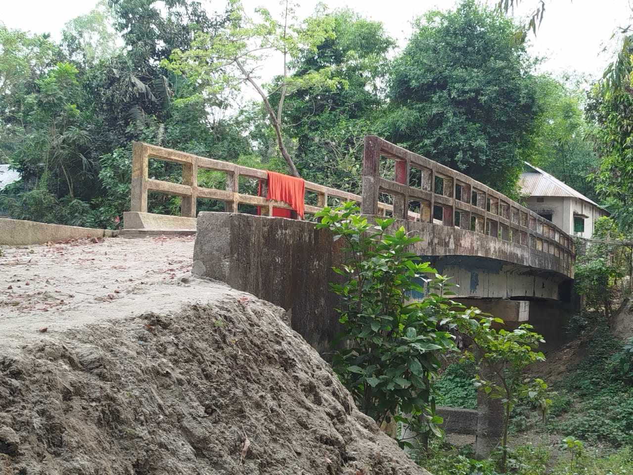 গোপালপুরে সাবেক চেয়ারম্যানের বিরুদ্ধে অবসরপ্রাপ্ত সেনাসদস্যের জমি দখল ও গাছ কাটার অভিযোগ"